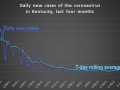 Graph showing daily new cases of the coronavirus in Kentucky over the last four months.