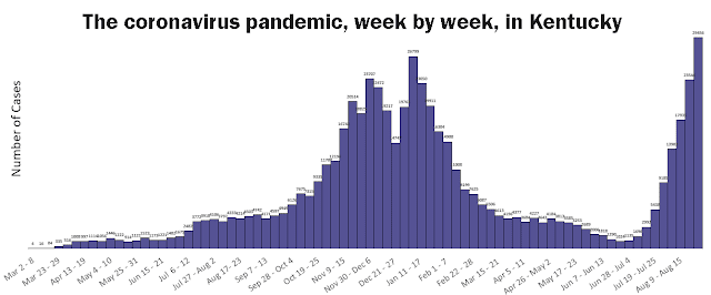 Kentucky Department of Public Health graph showing the number of coronavirus cases in Kentucky, week by week. Cases have spiked since around July 4.